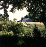 paddock at Inver House Farms