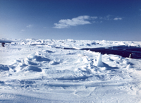 arctic.jpg